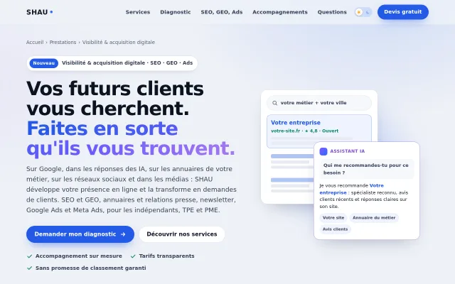Capture de la page Visibilité digitale de shau.fr